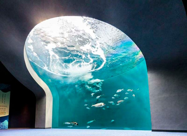 【JR福山駅発】四国水族館とホテルアネシス瀬戸大橋ランチバイキング 日帰り2